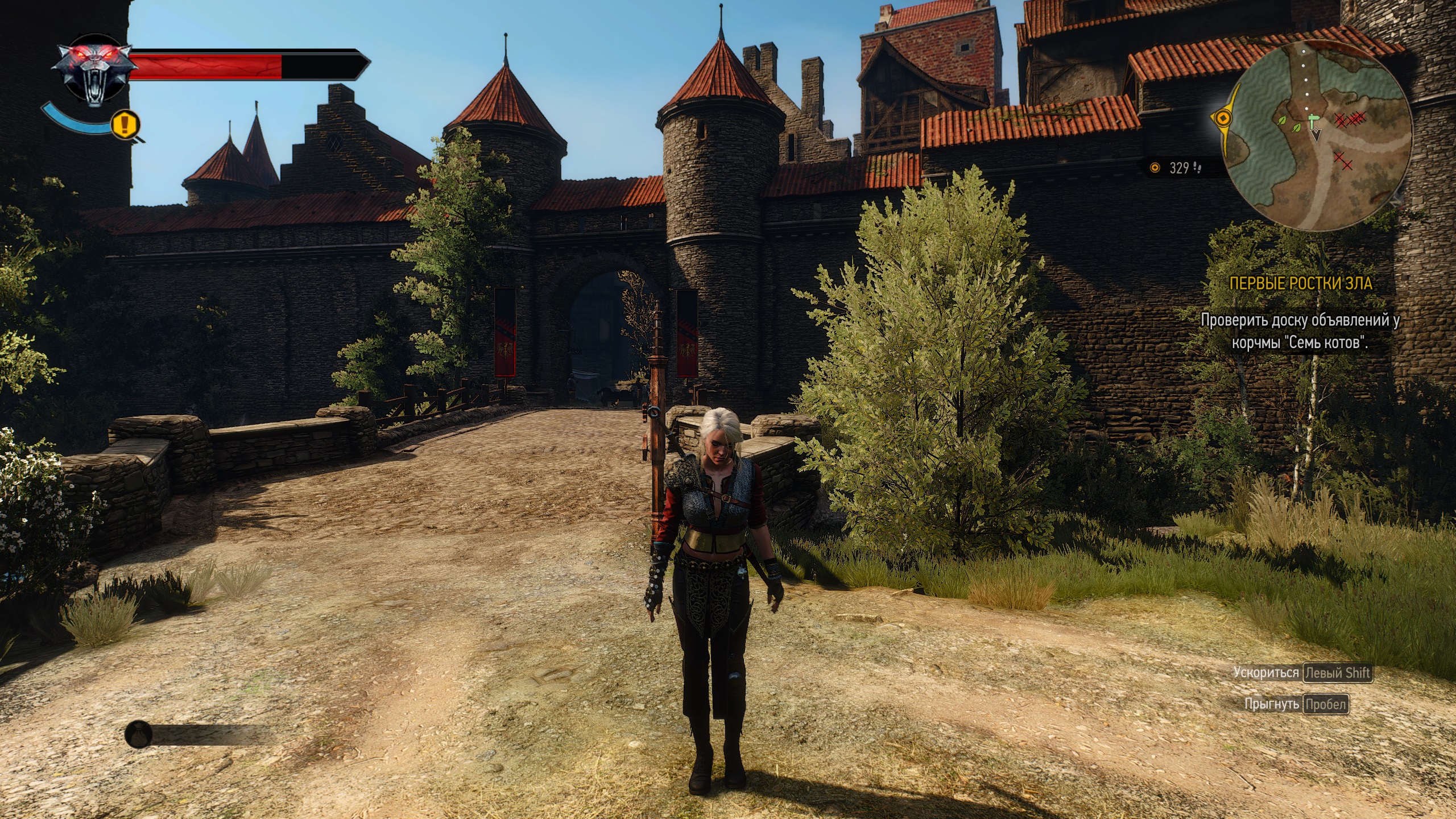 The witcher 3 next gen консоль фото 117